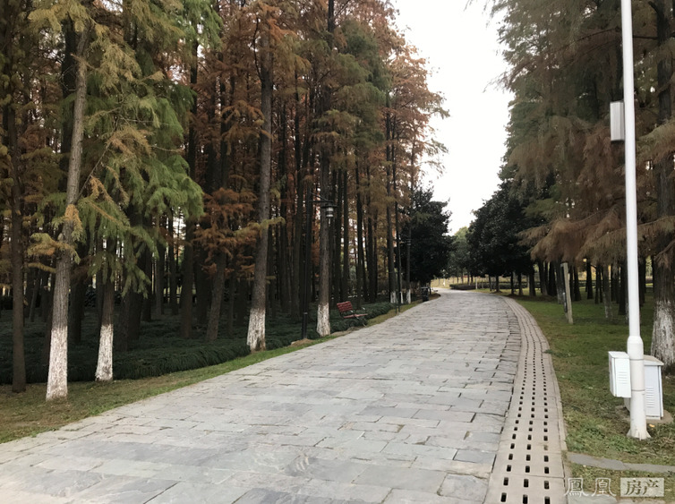 万科金域国际-楼盘详情-凤凰房产武汉