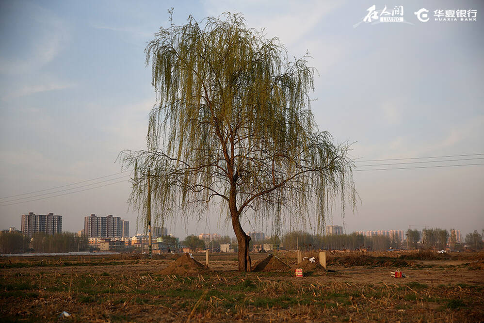 雄安楼市三日记：外地人很狂热 当地人很淡定(图)