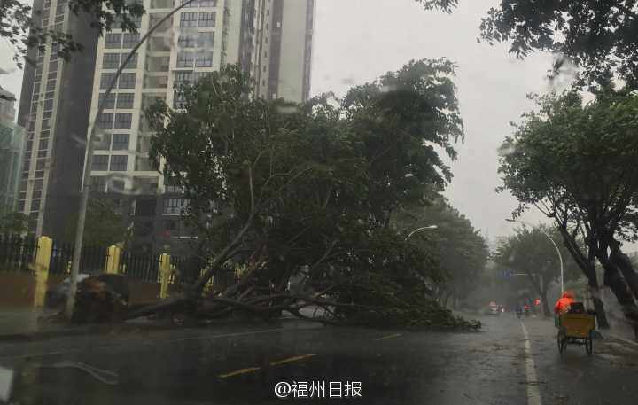 图文直播:台风苏迪罗来袭