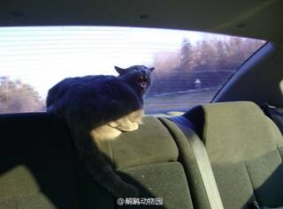 晚FUN来了:父亲节给妈换搓衣板|吾乃石家庄赵