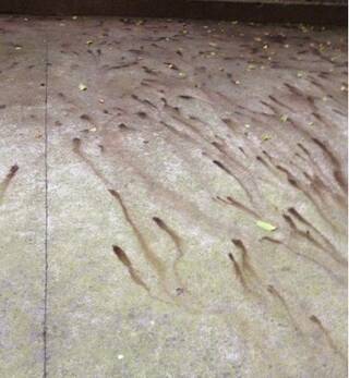 [晚FUN来了]<em>解胸罩</em>难于解魔方|李某他爹也不管