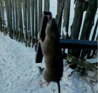 [午FUN来了]禽兽医生绳艺过人|瘪犊子轮胎价值