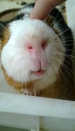 [午FUN来了]禽兽医生绳艺过人|瘪犊子轮胎价值十亿 - 娱乐派 - 娱乐有我 自成一派 :: 最新娱乐新闻尽在娱乐派