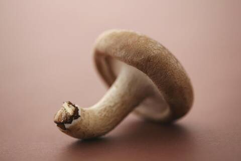 乙肝患者讲究食补!吃香菇对肝病有好处!