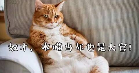 黑面郎、角仙、无肠公子:古代萌宠名字好雅致