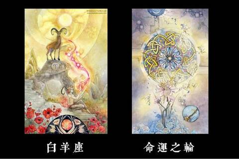 12星座塔罗周运 11月21日 27日运势 手机凤凰网