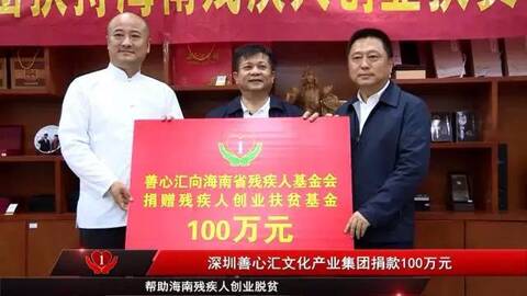 深圳善心汇文化产业集团捐款100万元帮助海南