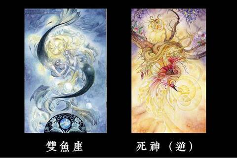 12星座塔罗周运:11月28日-12月4日运势