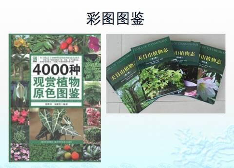 入门推荐书及山头植物志示意图 by网络