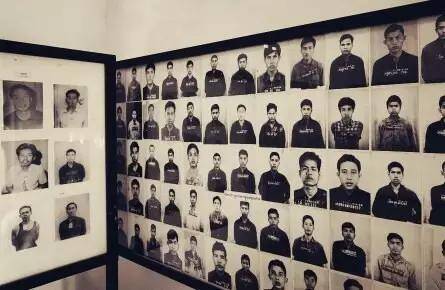 最后的告别,扎哈用树木搭起向死而生的博物馆