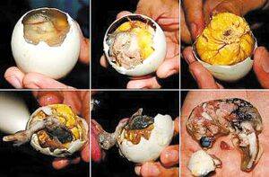 Balut in the Philippines