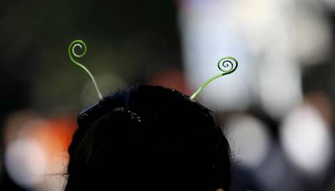 为什么头上长草会成为一种席卷全国的风潮?