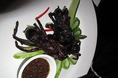 Fried tarantulas in Cambodia
