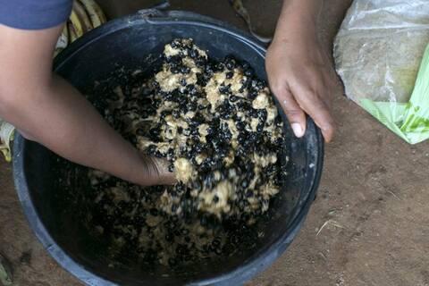 �� �� ΰ �� �� �� �� �� ַ