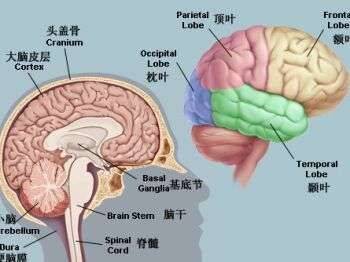 951cdfe4128b9a1fbf63698fa21faf4c2ace886c_3.jpg