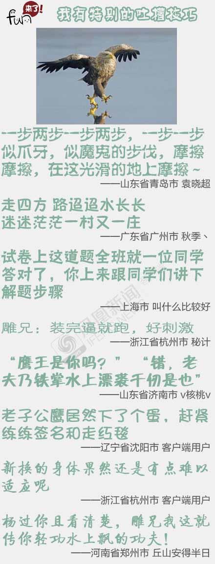 4fdac7abfe9b0166bff4_size81_w440_h1155.jpg