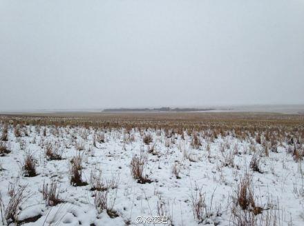 1aa16f082c0007269f69_size24_w440_h328.jpg