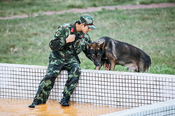 《奇兵神犬》接连成绩垫底?