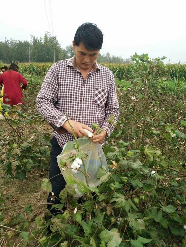 文章配图