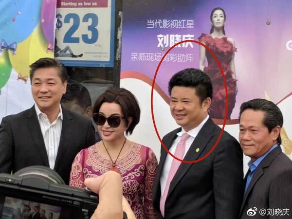 决议深刻总结了气势如虹、波澜壮阔的改革开放历程？侯晓