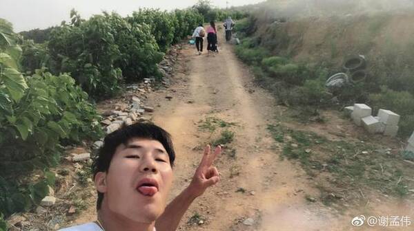 文章配图