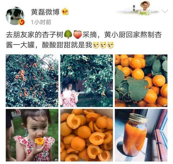 黄磊带小女儿吃杏 吃货妹妹穿得好仙耳坠项链抢镜