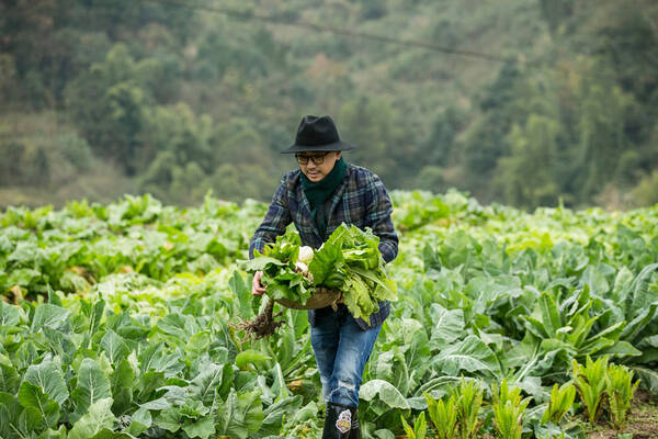 徐峥变“农家潮叔” 《食在囧途》自驾摘菜垂钓