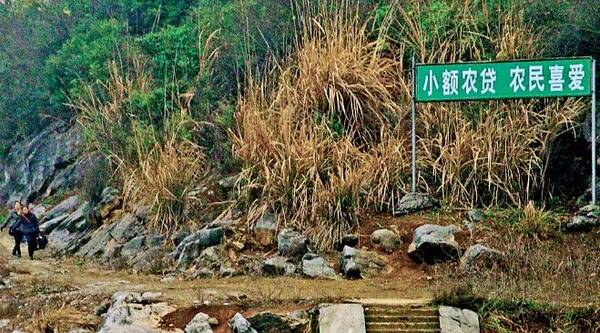 盘点哪些企业爱在乡间地头刷墙:电商网站悉数