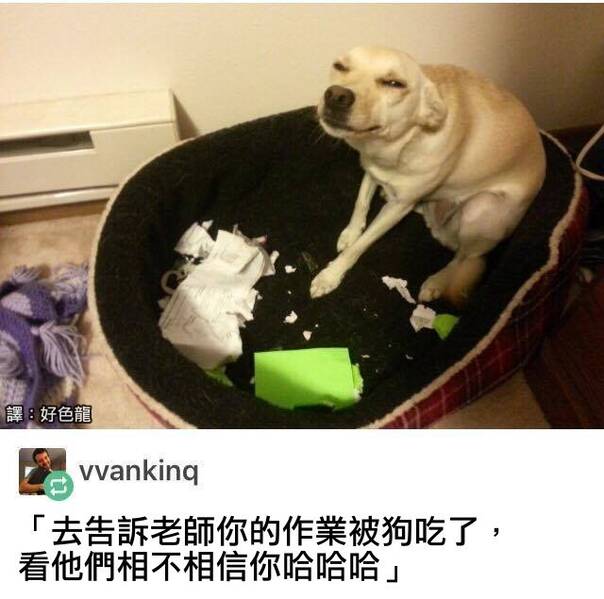  午FUN来了161014:沉迷学习的男孩子 运气一般不会太差