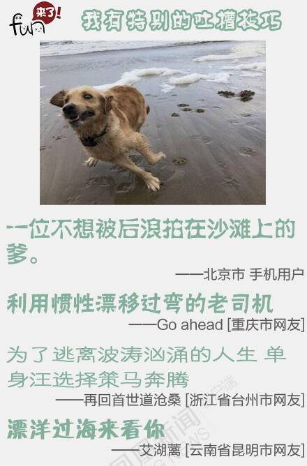  午FUN来了161117:女追男隔层纱 男追女隔车隔房隔个她妈