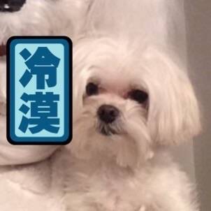  囧图161201:原来民国就有“不转不是中国人”了