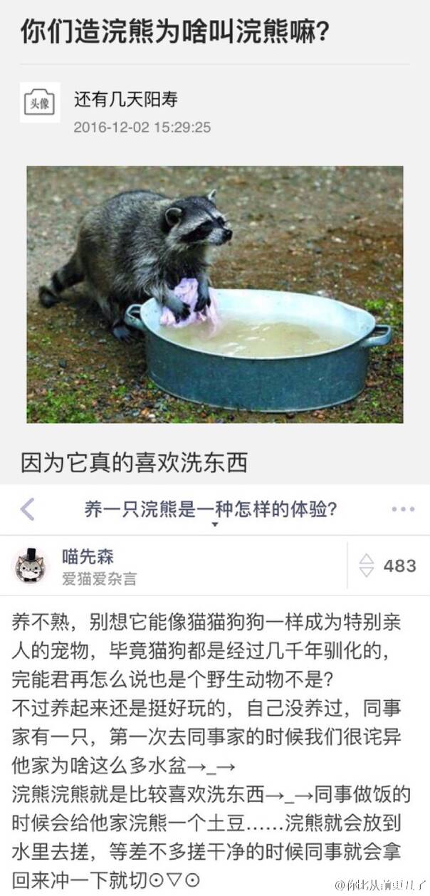  囧图161207:一只跳窗逃生的电饭锅 生命不息励志不止
