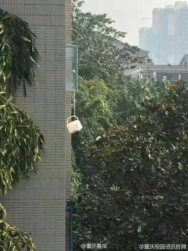  囧图161207:一只跳窗逃生的电饭锅 生命不息励志不止