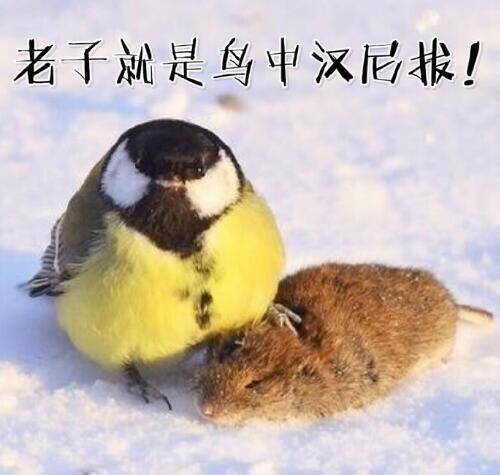  午FUN来了161214:宾馆小卡片玩这种套路 老板心计很重啊