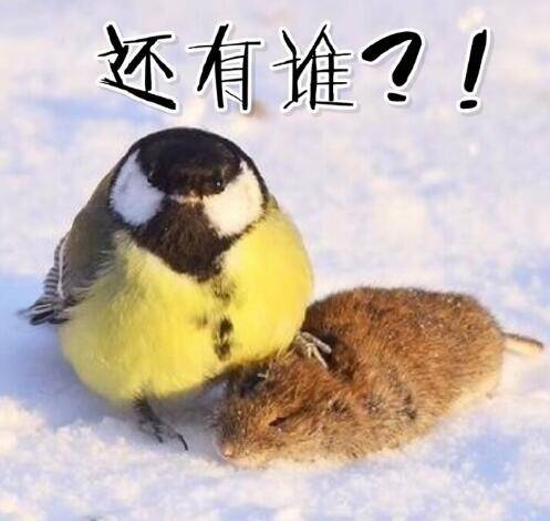  午FUN来了161214:宾馆小卡片玩这种套路 老板心计很重啊