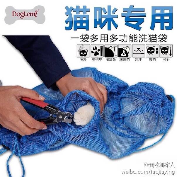  晚FUN来了161222:女生一冬天难道只有一条连裤袜吗？