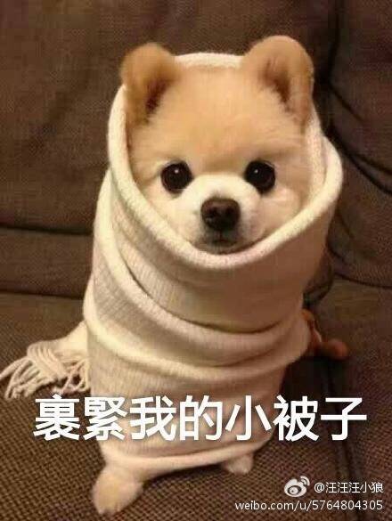  晚FUN来了161222:女生一冬天难道只有一条连裤袜吗？