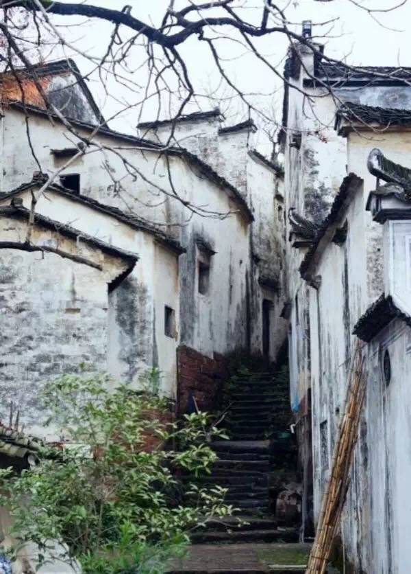 囧图161228:如何用村上春树的风格写一段PPAP的故事