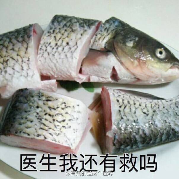 午FUN来了170106:老师让带条小鱼 熊孩子带来一顿午饭