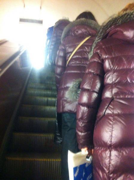 囧图170118:我滴老家，就住在这个马桶里