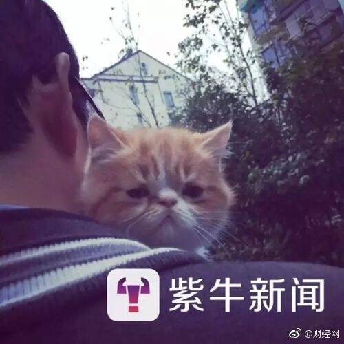 fun来了:他不好好搞音乐 就要沦落到继承家产 fun来了:他不好好搞音乐 就要沦落到继承家产图片