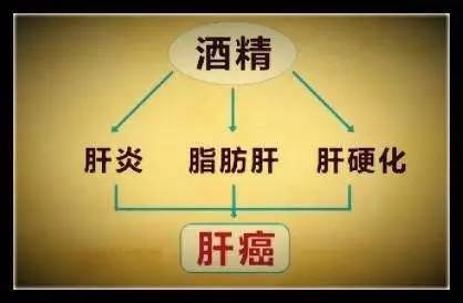 为什么肝癌发现大多是晚期?一定要警惕这些信号!