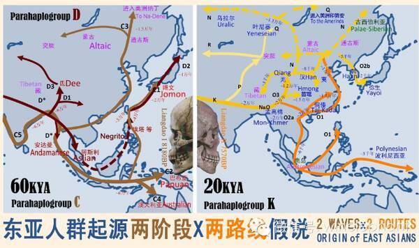 北亚人口_亚洲人口最稀少地区,面积比印度大1000万,但人口为何才3000万