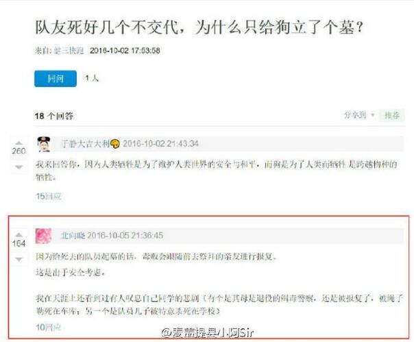  午FUN来了161014:沉迷学习的男孩子 运气一般不会太差