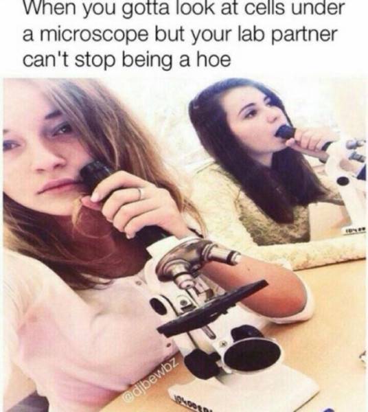 世界上有两种女孩子,都能让你爱上生物