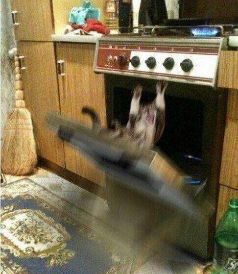 看见没救命救命救命
