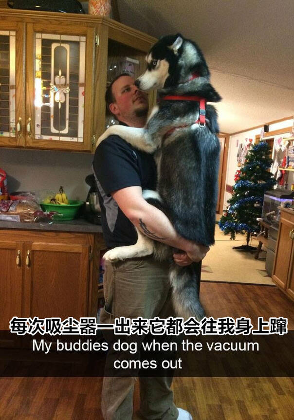  囧图161117:备胎很多 但备胎的故事都差不多|39图