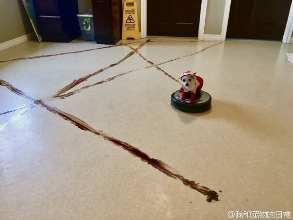 囧图161203:别问我叫什么名字,我的名字是你大