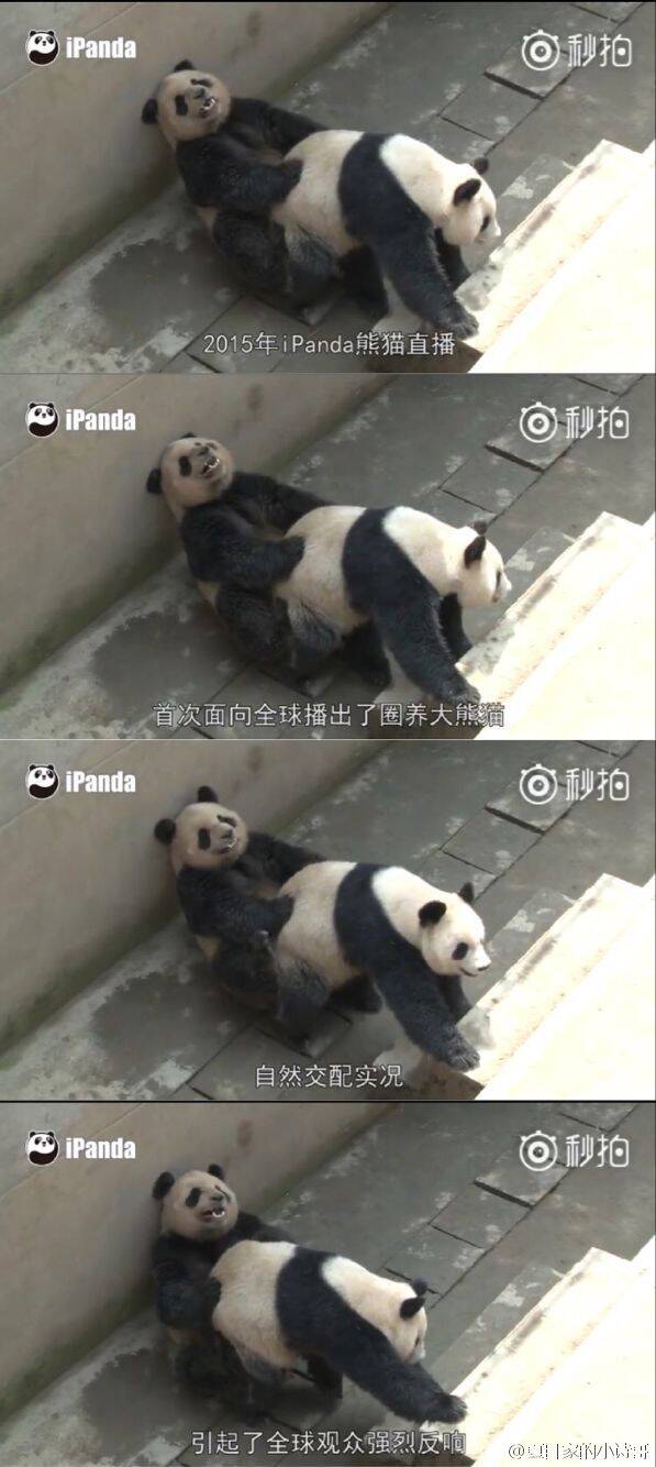 午fun来了:注意了 婚姻状况这栏该填已婚而不是累 午fun来了:注意了 婚姻状况这栏该填已婚而不是累图片