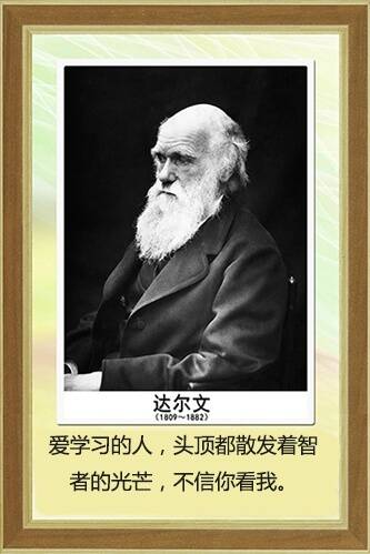 晚fun来了:当局者迷 旁观者就仗着旁观者清瞎哔哔 晚fun来了:当局者迷 旁观者就仗着旁观者清瞎哔哔图片